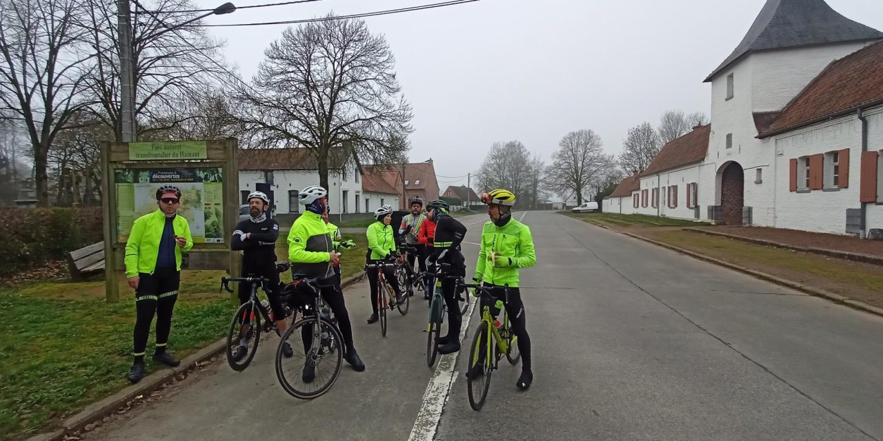 Beaucoup de brouillard et peu de jonquilles