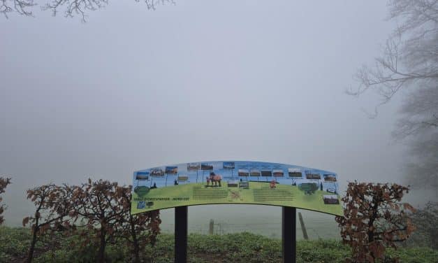 Des paysages… magnifiques